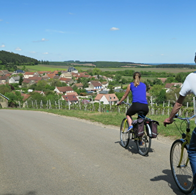 Vélibourgogne