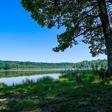 Réserve naturelle de la Tourbière de la Grande Pile