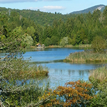 Lac de Chanon - MARTIGNA