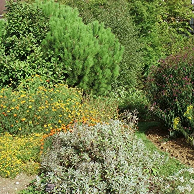 Le Jardin botanique