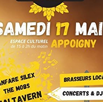 Fête de la Bière Icaunaise - 4e édition - APPOIGNY