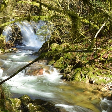 La Tour du Chaume