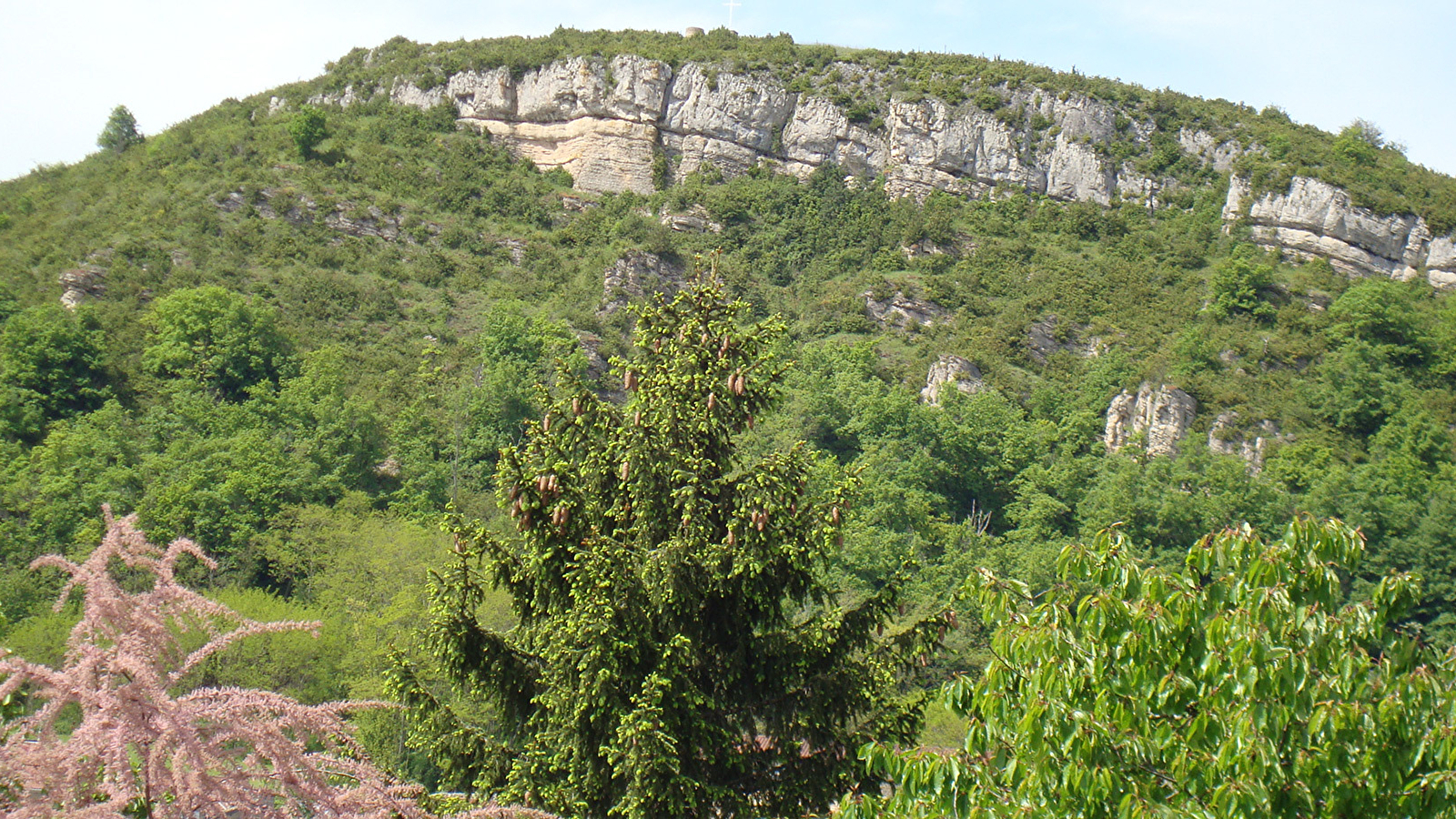 La Roche Coche