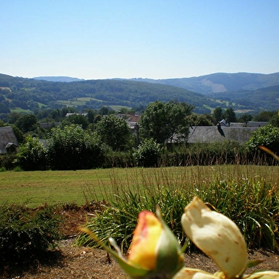 Gîte des Châtaigniers