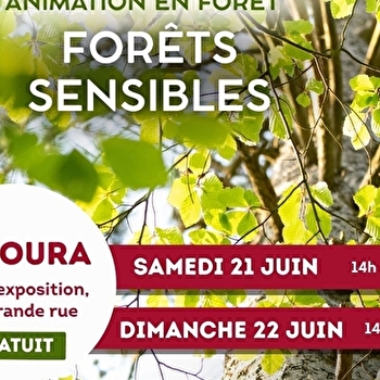 Animation nature : forêts sensibles - LAMOURA