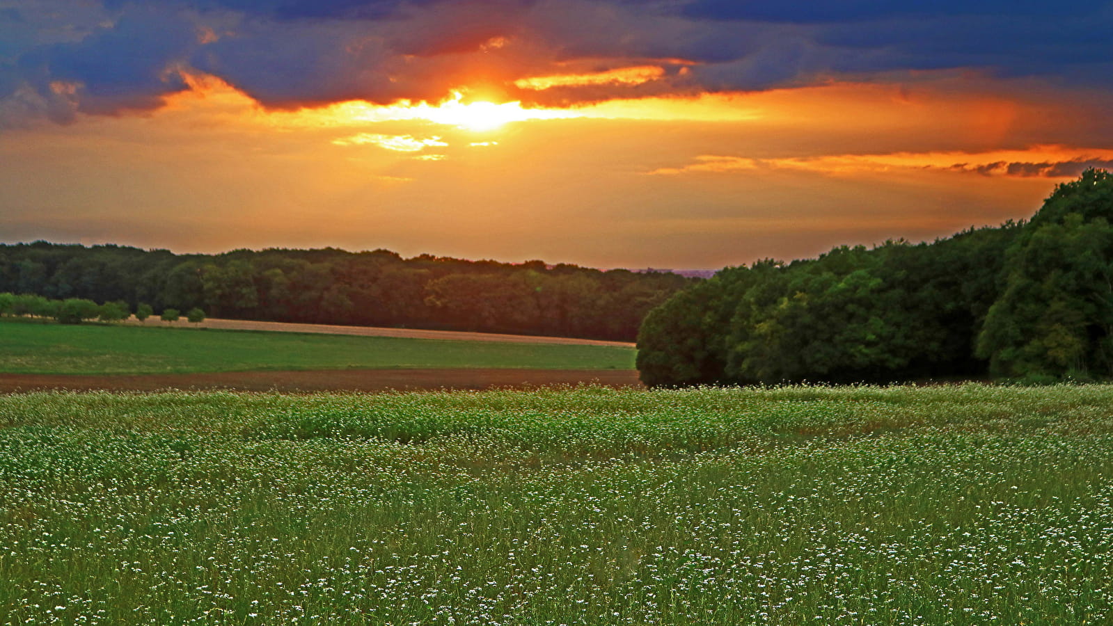 La Vallée des Ânes 