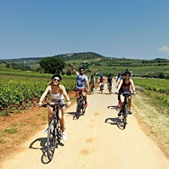 Chateau Vélo Vino en Côte de Nuits - DIJON