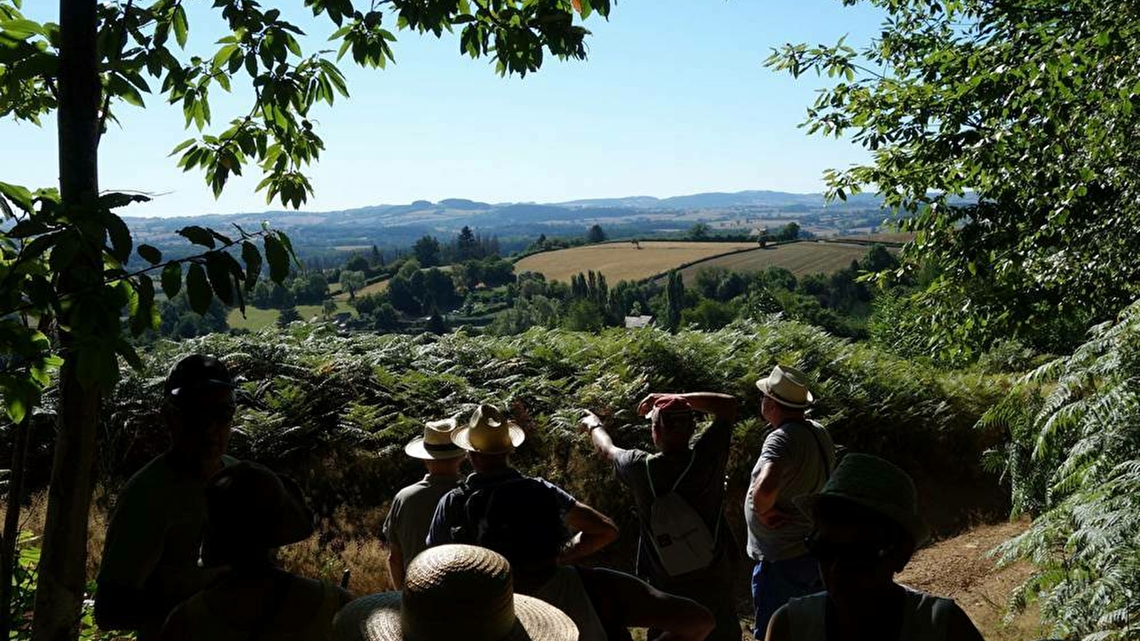 Randonnée Locale