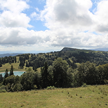 Le Morond - METABIEF