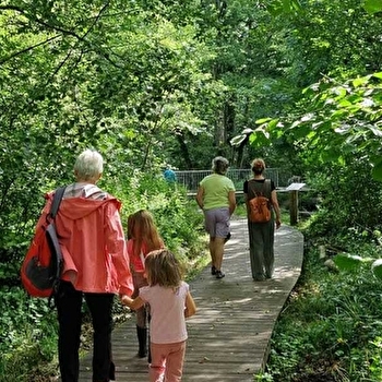 Randonnée pédestre : Marais des Bidonnes et Canal de Crans - DIVONNE-LES-BAINS