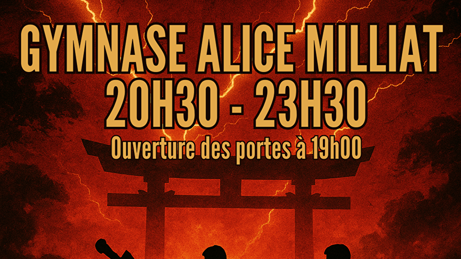 La nuit des arts martiaux