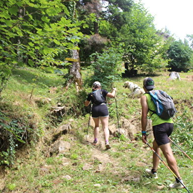 Randonnée pédestre - Crêt de Chalam depuis Forens