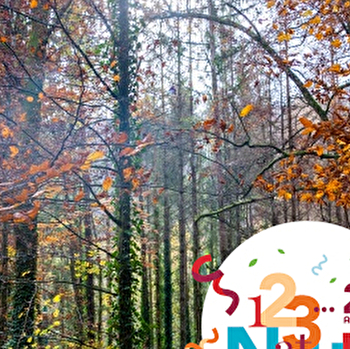 SORTIE 123 NATURE : 'Promenons-nous dans les bois !' - SELONCOURT
