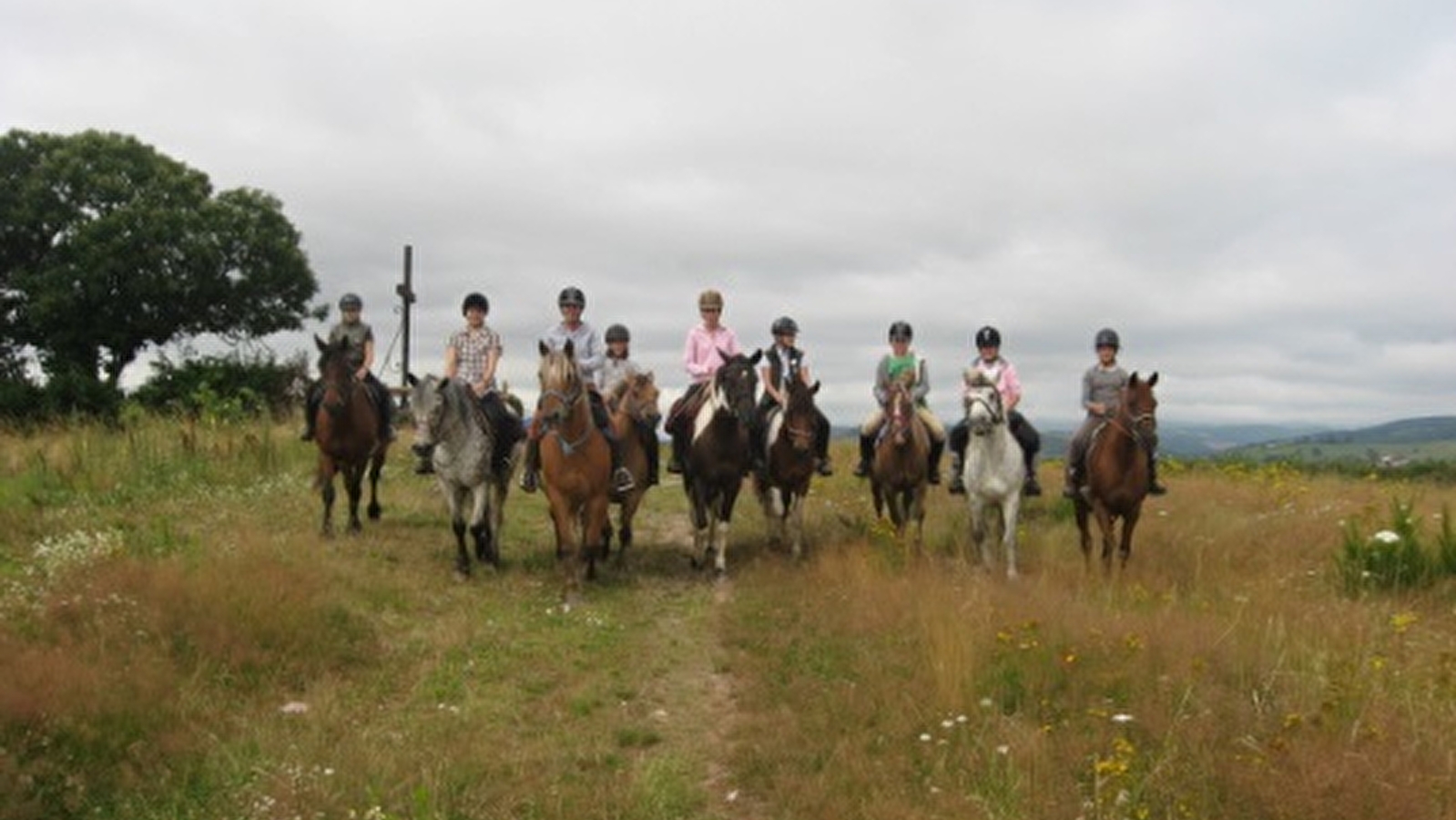 Centre Équestre et Poney Club Le Sapajou