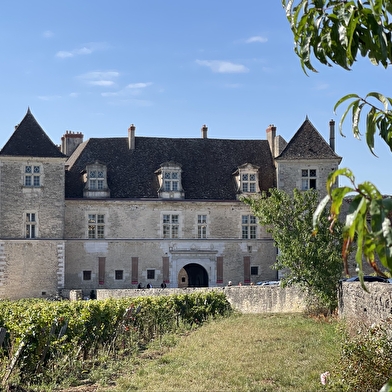 Wine & Break en Bourgogne