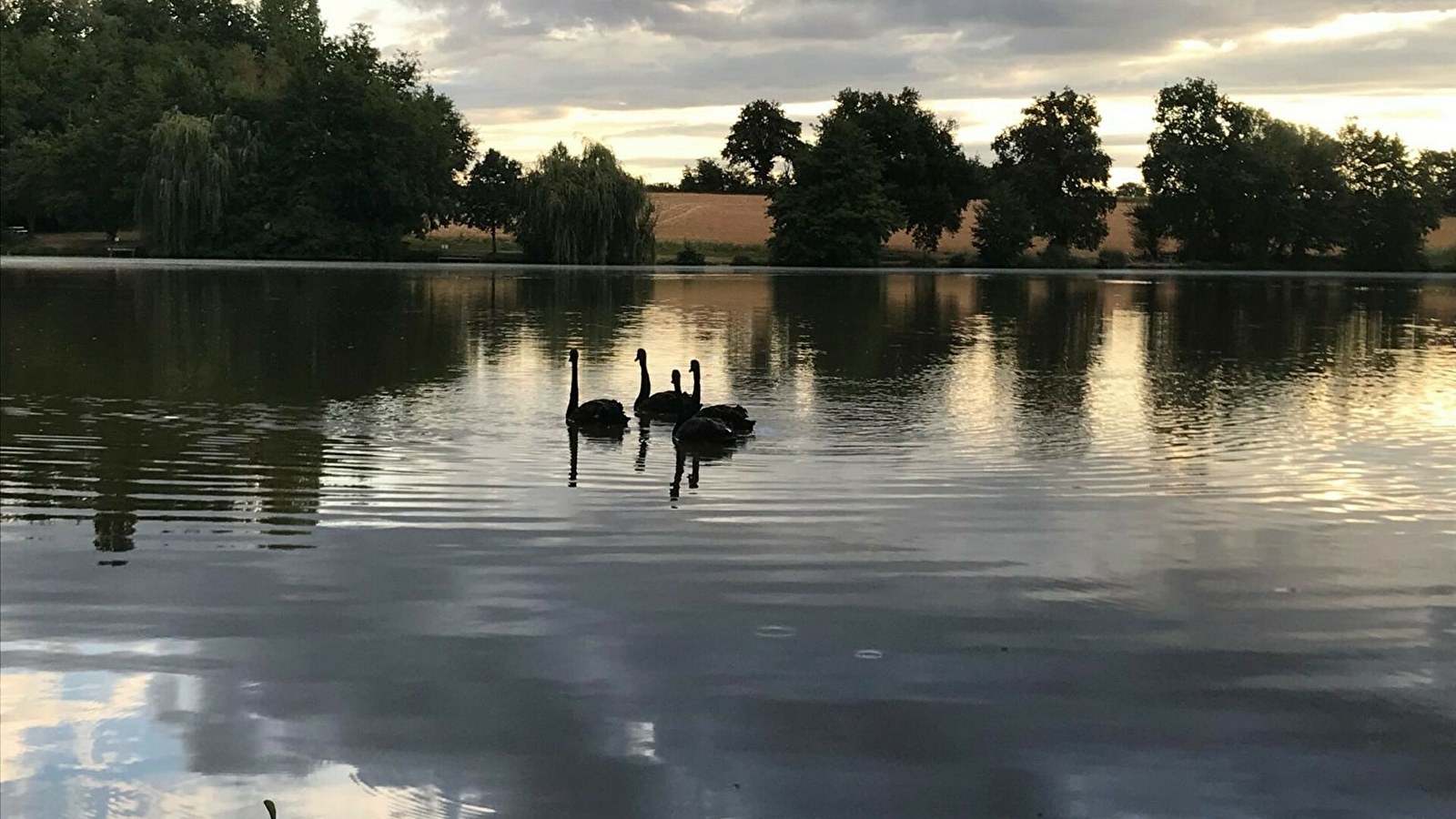 Etang de la Verne