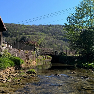 Rivière de la Seille