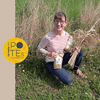 Drive Produits bio locaux - BAGNEAUX