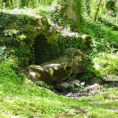 Source du Bué