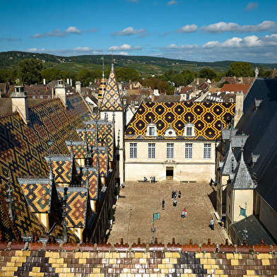 IMAGINAIRES KRÉATIFS / Visions hospitalières / Visions Minérales