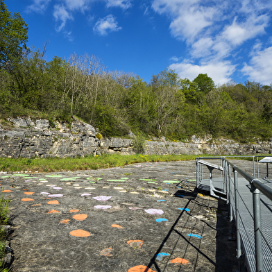 Site à pistes de dinosaures