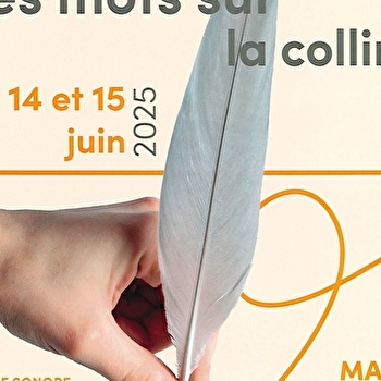 3e Festival de l'écrit - VEZELAY