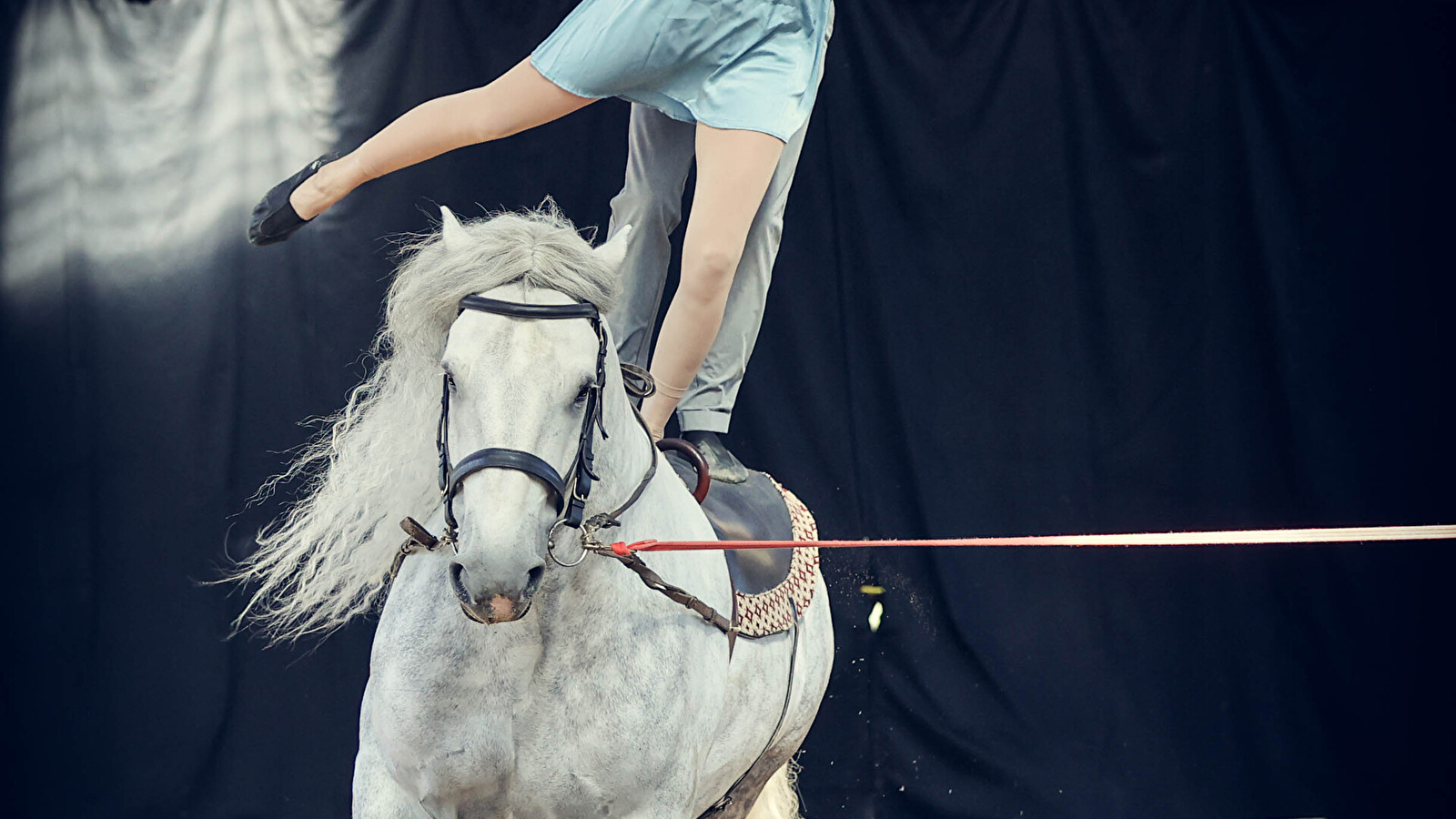 Cabaret Equestre