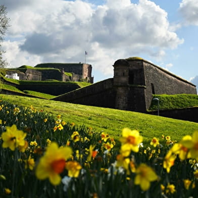 La Citadelle