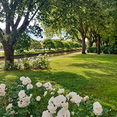 Parc du Moulin Liron - Docteur Drapier