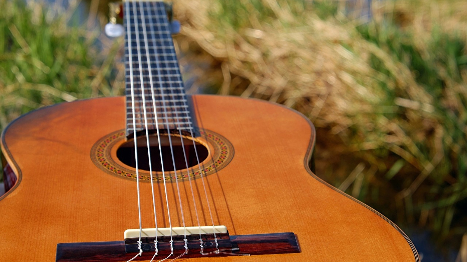 Concert du duo 'Bluegrass'