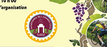 Randonnées des Grands Crus et Climats de Bourgogne - MARSANNAY-LA-COTE