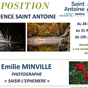 Exposition Emilie MINVILLE Photographe 'Saisir l'Ephémère' - AUTUN