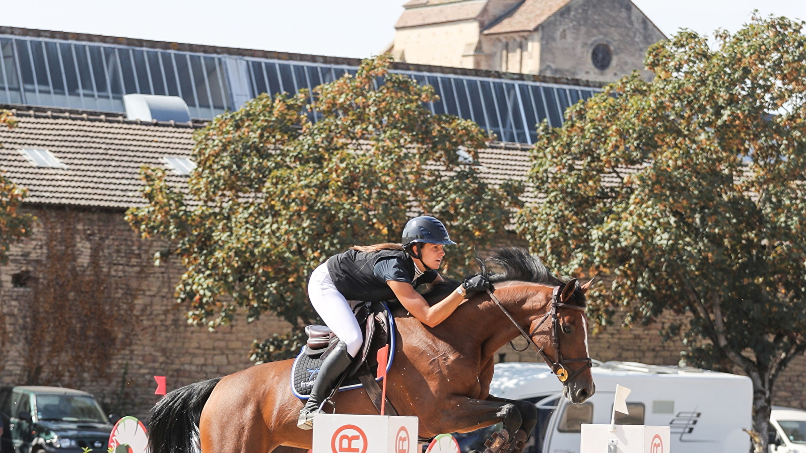 Concours Hippique - Saut d'obstacle Club