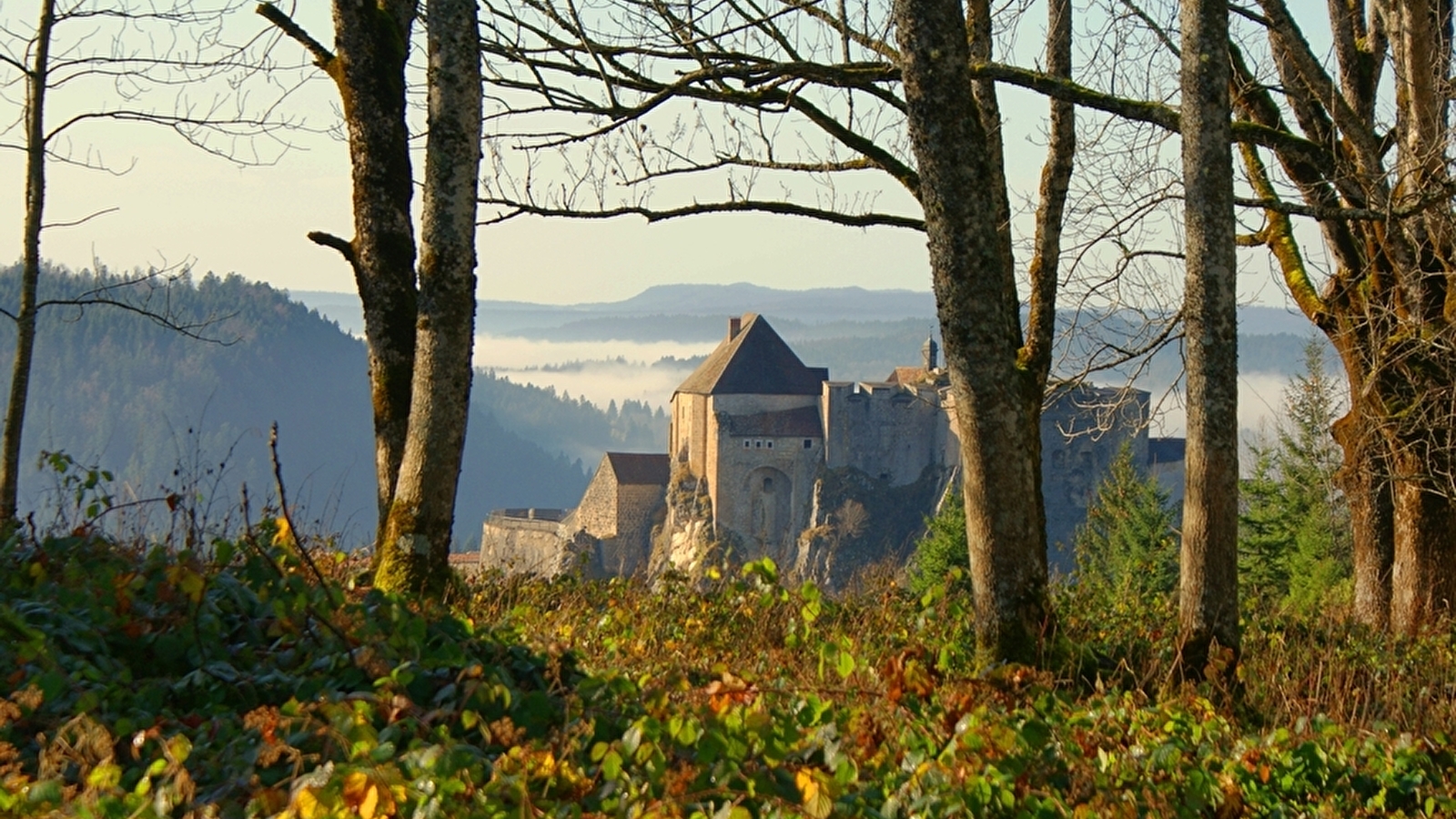 Point de vue de la Fauconnière