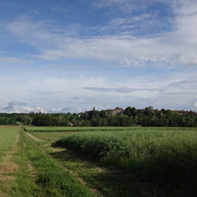 Le sentier des 'Ponts de pierre du Salon'