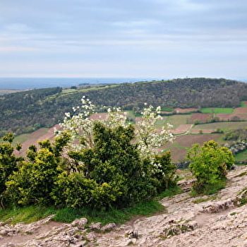 Mont Pouilly - SOLUTRE-POUILLY