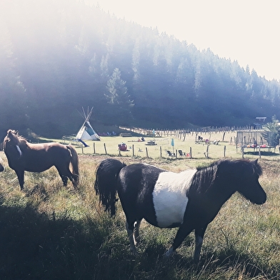 Aire naturelle de camping - La Ferme de l'Enquerne