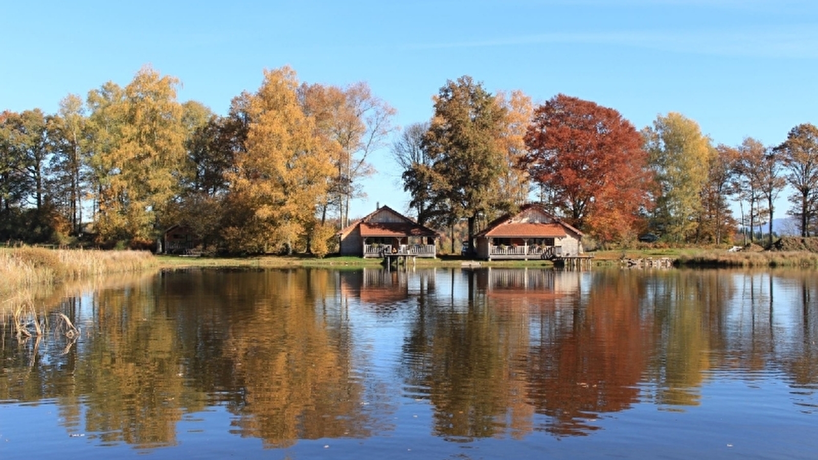 Chalet Le Nénuphar - Domaine de la Patte d'Oie