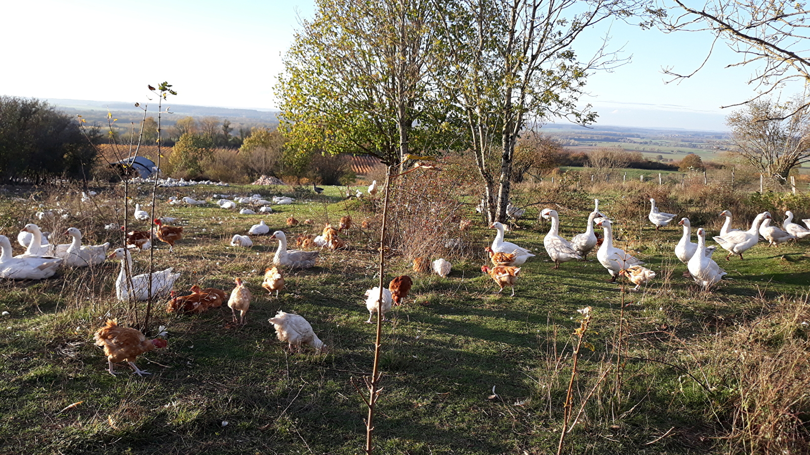 Ferme bio 'La clé des champs'