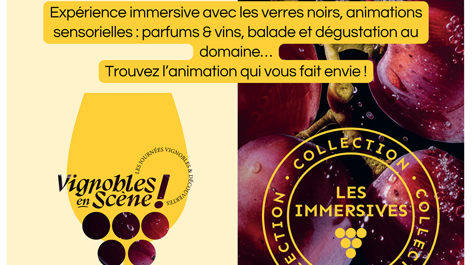 Expérience immersive aux verres noirs