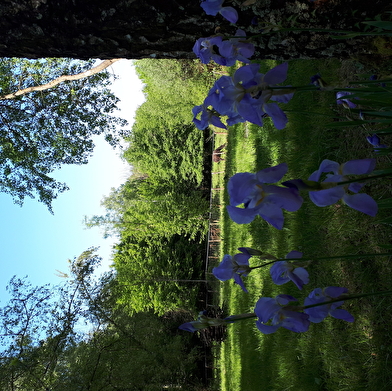 Camping à La Ferme des Maziers