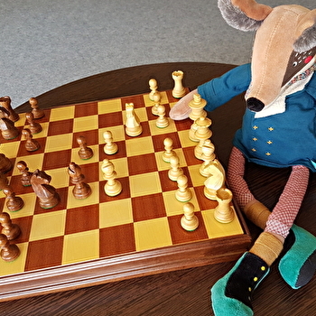 Animation Echecs tout public 5 ans et plus - PARAY-LE-MONIAL
