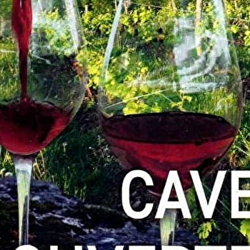 Caves ouvertes du Domaine Désiré Petit - PUPILLIN