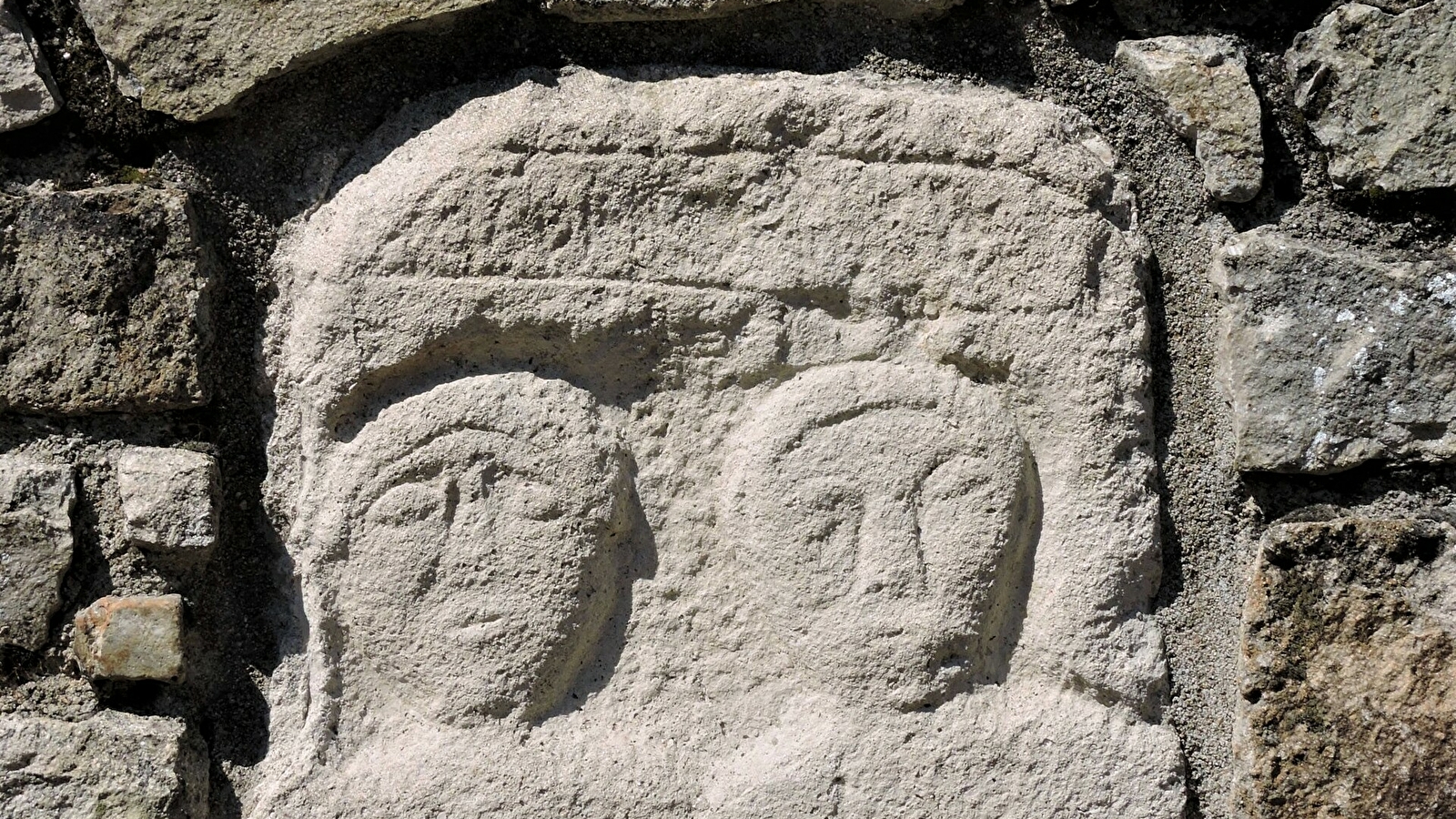 Le bois des Vignes 