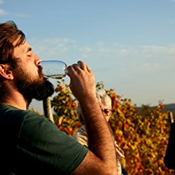 Domaine François et Blandine Rocault – « vis ma vigne » : l’éveil des sens dans les Hautes-Côtes de Beaune - BAUBIGNY