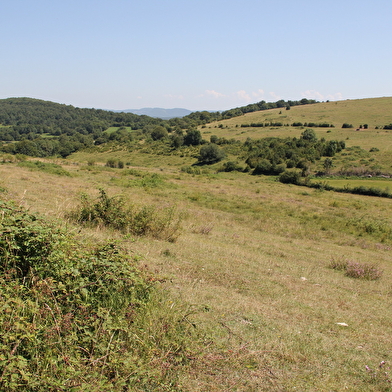 Arnans - Cuvergnat - Sélignac