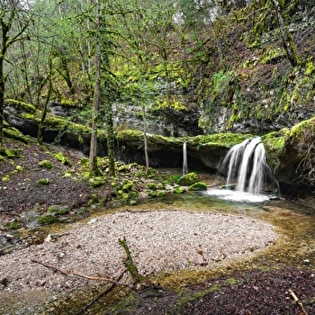 De le Vouivre à Cinquétral - SAINT-CLAUDE
