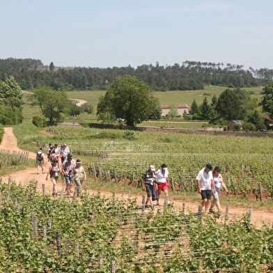 La Patarate Gourmande 2025