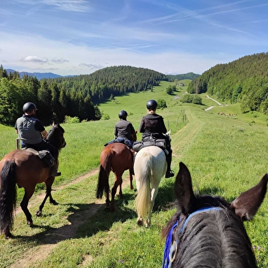 Circuit équestre des Montagnes du Haut-Jura