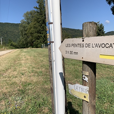Randonnée - Sur les pentes de l'avocat